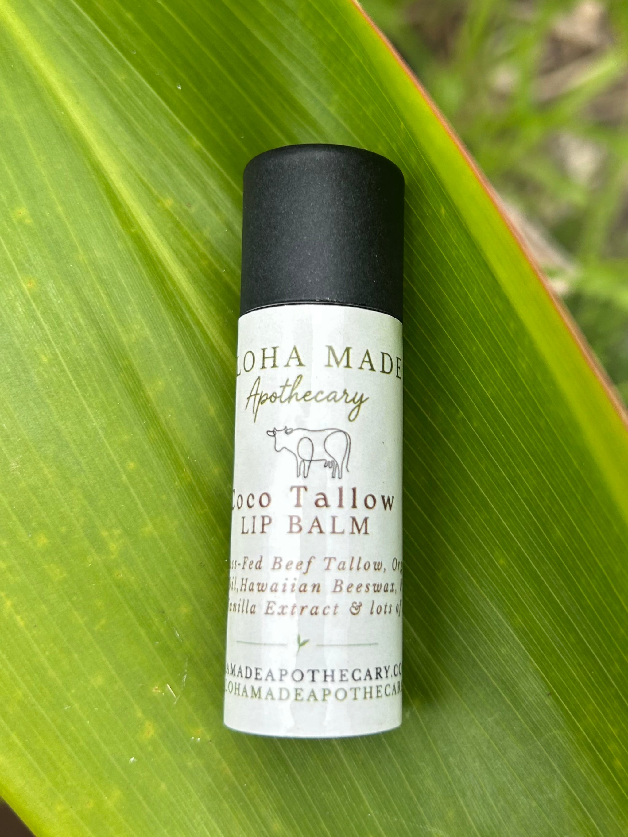 Coco Tallow Lip Balm