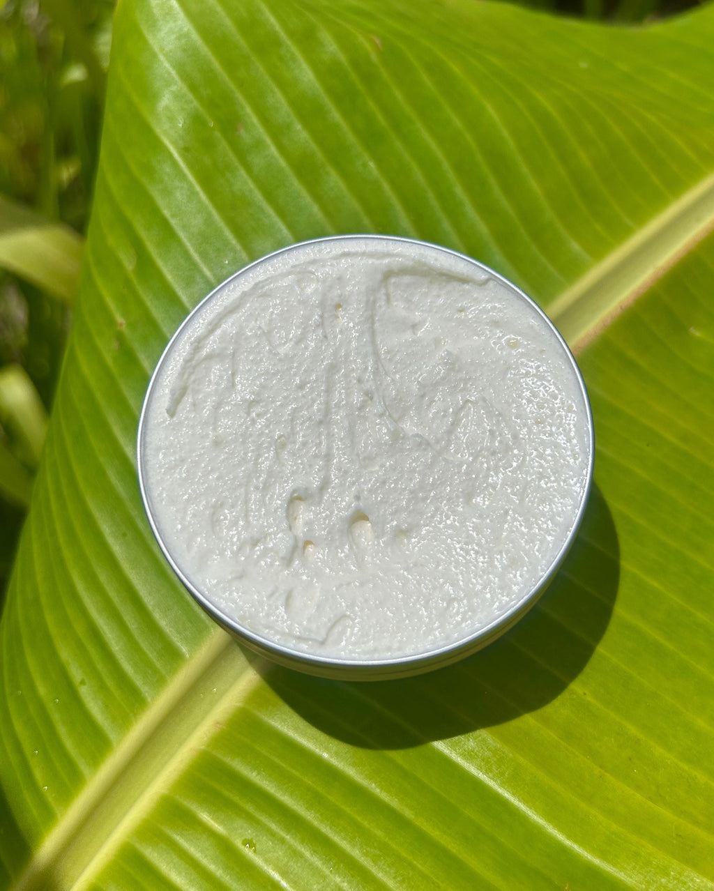 Holy Cow Grass-fed Beef Tallow Whipped Moisture Cream - 2oz