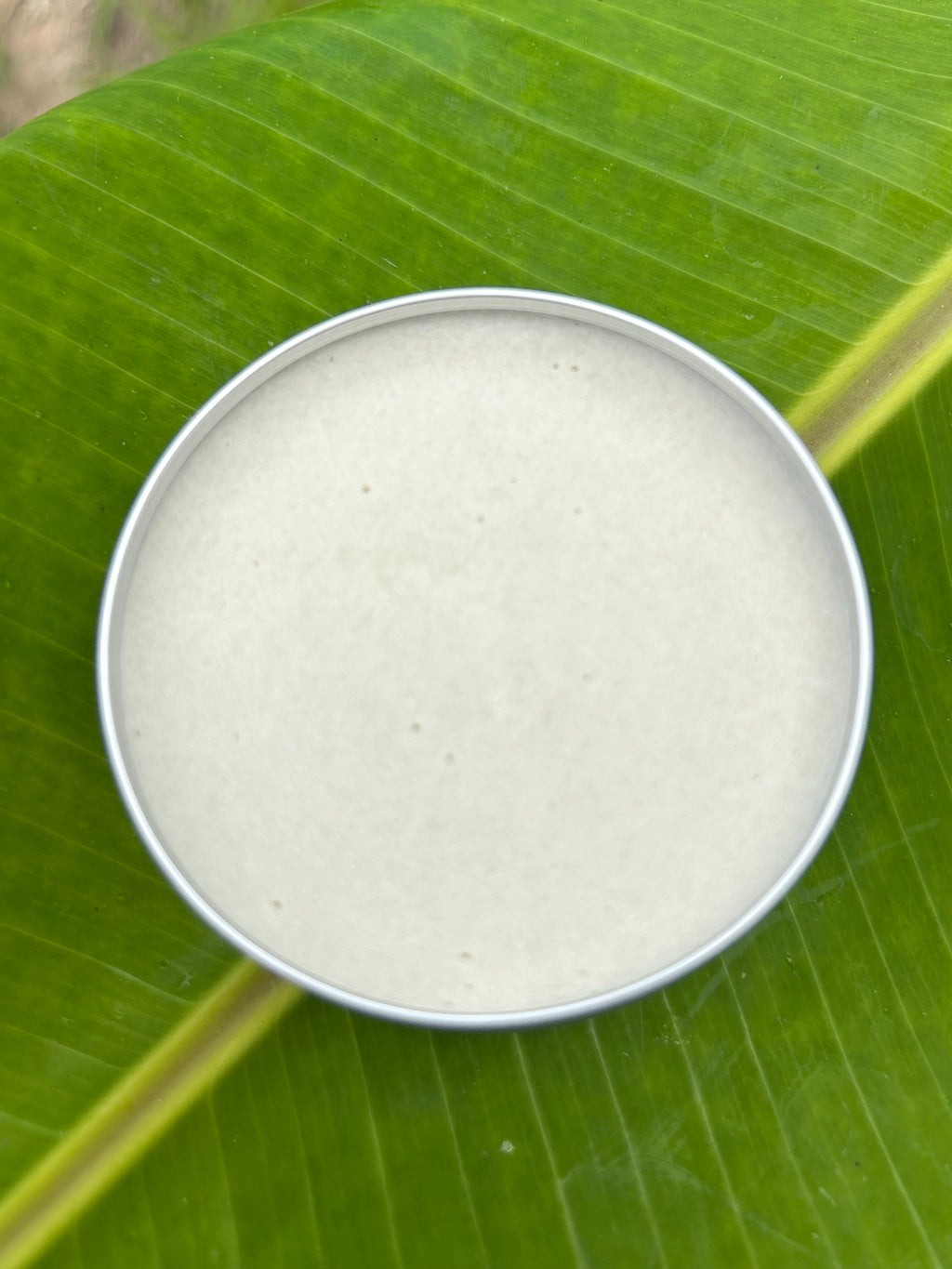Tried & True Lavender Rosemary Sage Natural Deodorant